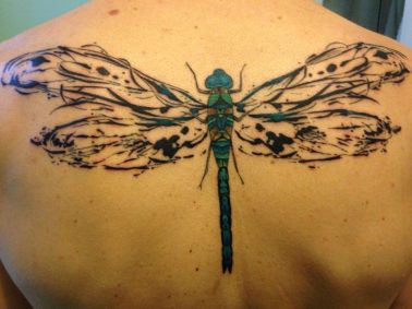 10613027_10205456722157927_1393508166223171513_n