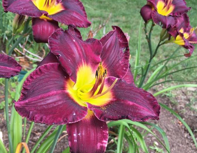 Parenting after the death of an ex&nbsp;spouse.